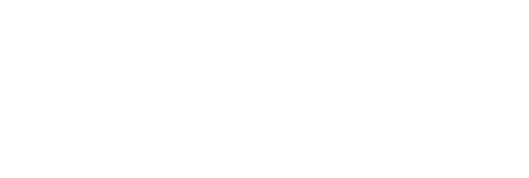 لوگو فیبر نوری FTTX